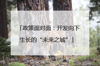 政策面对面：开发向下生长的“未来之城”