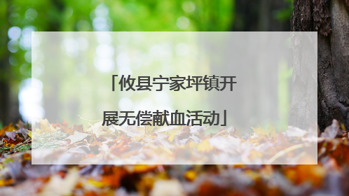 攸县宁家坪镇开展无偿献血活动