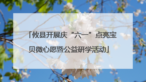 攸县开展庆“六一”点亮宝贝微心愿暨公益研学活动