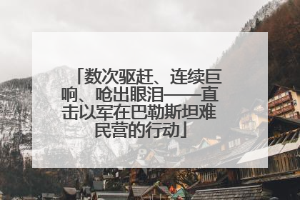 数次驱赶、连续巨响、呛出眼泪——直击以军在巴勒斯坦难民营的行动