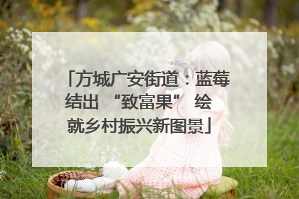 方城广安街道：蓝莓结出 “致富果” 绘就乡村振兴新图景