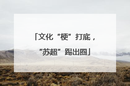 文化“梗”打底，“苏超”踢出圈