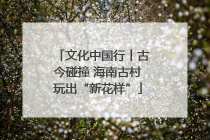 文化中国行丨古今碰撞 海南古村玩出“新花样”