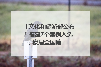 文化和旅游部公布！福建7个案例入选，稳居全国第一