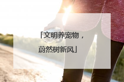 文明养宠物,蔚然树新风