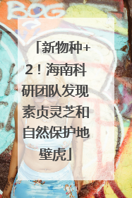 新物种+2！海南科研团队发现素贞灵芝和自然保护地壁虎