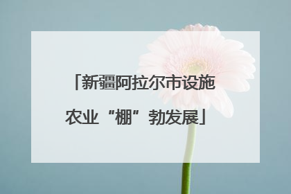 新疆阿拉尔市设施农业“棚”勃发展