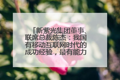 新紫光集团董事、联席总裁陈杰：我国有移动互联网时代的成功经验，最有能力做好AI应用创新