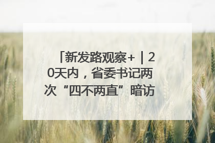 新发路观察+｜20天内，省委书记两次“四不两直”暗访，有何深意？