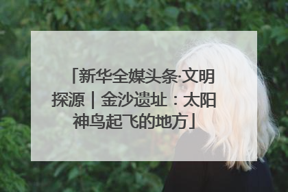 新华全媒头条·文明探源｜金沙遗址：太阳神鸟起飞的地方