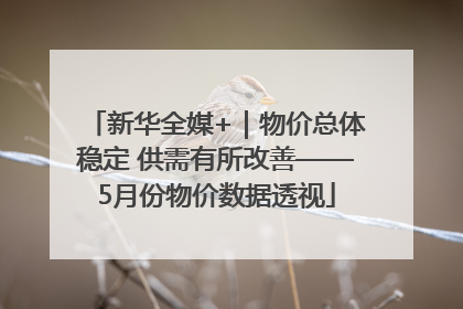新华全媒+｜物价总体稳定 供需有所改善——5月份物价数据透视