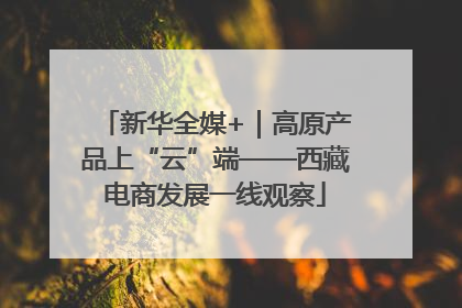 新华全媒+｜高原产品上“云”端——西藏电商发展一线观察