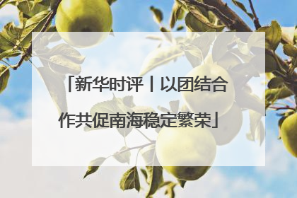 新华时评丨以团结合作共促南海稳定繁荣