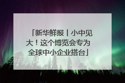 新华鲜报丨小中见大！这个博览会专为全球中小企业搭台