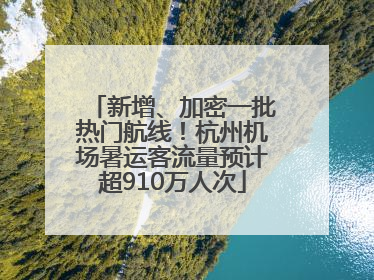 新增、加密一批热门航线！杭州机场暑运客流量预计超910万人次