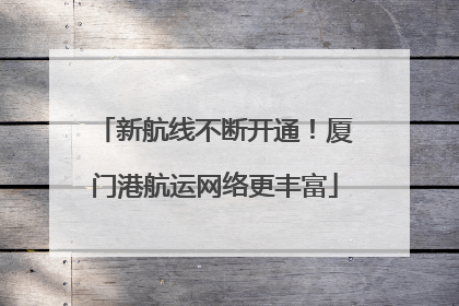 新航线不断开通！厦门港航运网络更丰富