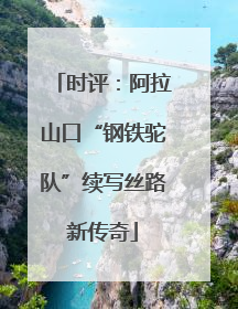 时评：阿拉山口“钢铁驼队”续写丝路新传奇