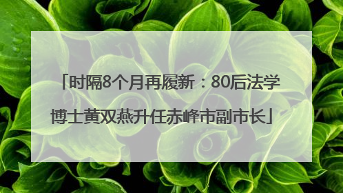 时隔8个月再履新：80后法学博士黄双燕升任赤峰市副市长