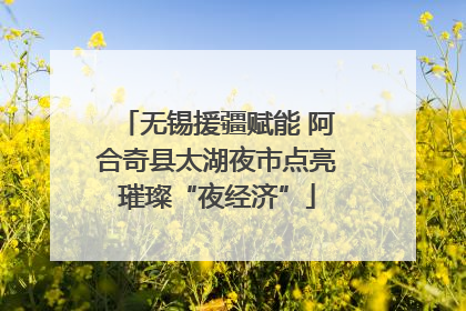 无锡援疆赋能 阿合奇县太湖夜市点亮璀璨“夜经济”