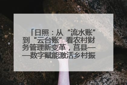 日照：从“流水账”到“云台账”看农村财务管理新变革，莒县——数字赋能激活乡村振兴“一池春水”