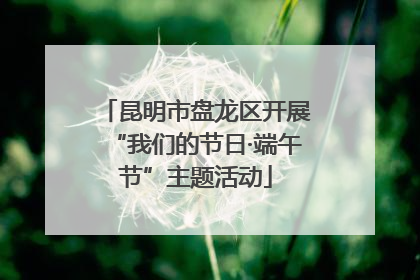 昆明市盘龙区开展“我们的节日·端午节”主题活动