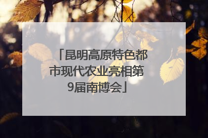 昆明高原特色都市现代农业亮相第9届南博会