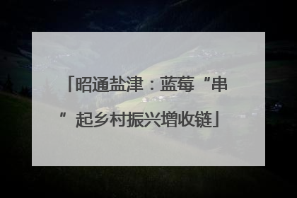 昭通盐津：蓝莓“串”起乡村振兴增收链