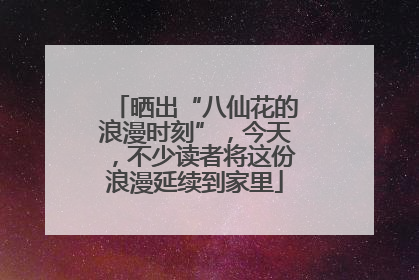 晒出“八仙花的浪漫时刻”，今天，不少读者将这份浪漫延续到家里