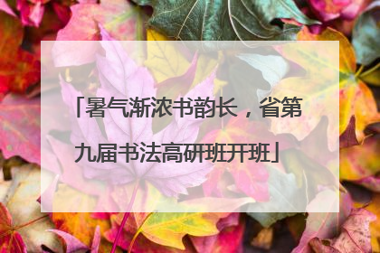 暑气渐浓书韵长，省第九届书法高研班开班