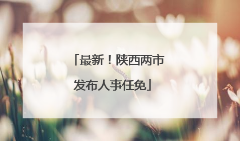 最新！陕西两市发布人事任免
