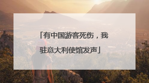 有中国游客死伤，我驻意大利使馆发声