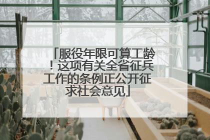 服役年限可算工龄！这项有关全省征兵工作的条例正公开征求社会意见
