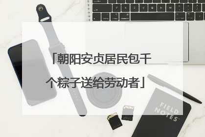朝阳安贞居民包千个粽子送给劳动者