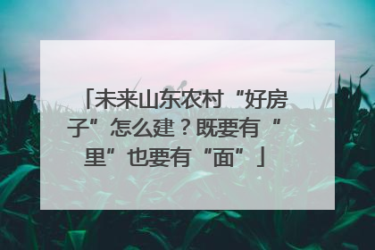 未来山东农村“好房子”怎么建？既要有“里”也要有“面”