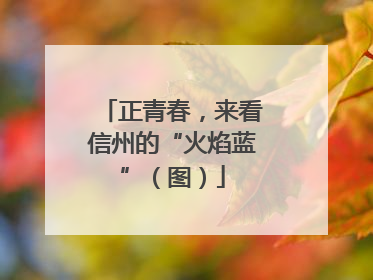 正青春，来看信州的“火焰蓝”（图）