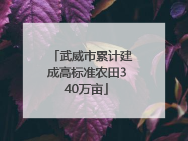 武威市累计建成高标准农田340万亩