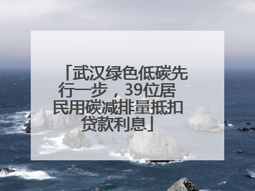 武汉绿色低碳先行一步，39位居民用碳减排量抵扣贷款利息