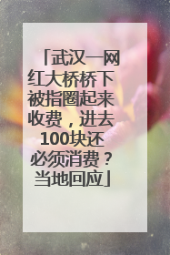 武汉一网红大桥桥下被指圈起来收费，进去100块还必须消费？当地回应