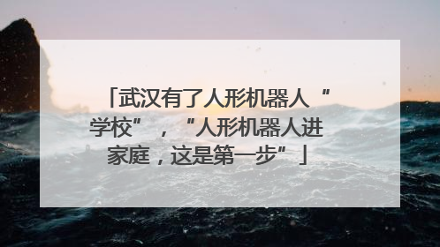 武汉有了人形机器人“学校”，“人形机器人进家庭，这是第一步”