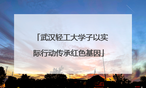 武汉轻工大学子以实际行动传承红色基因