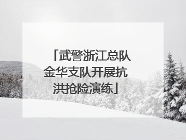 武警浙江总队金华支队开展抗洪抢险演练
