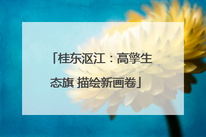 桂东沤江：高擎生态旗 描绘新画卷