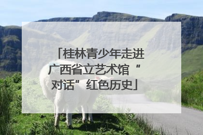 桂林青少年走进广西省立艺术馆“对话”红色历史