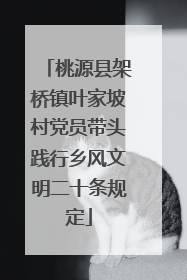 桃源县架桥镇叶家坡村党员带头践行乡风文明二十条规定