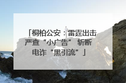 桐柏公安：雷霆出击严查“小广告” 斩断电诈“黑引流”
