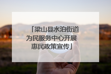梁山县水泊街道为民服务中心开展惠民政策宣传