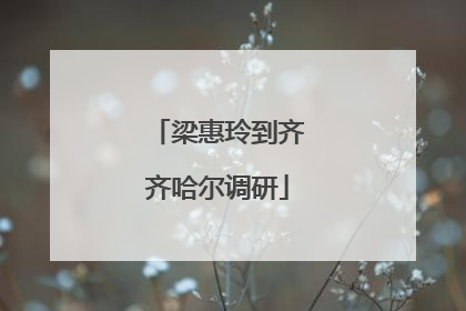 梁惠玲到齐齐哈尔调研