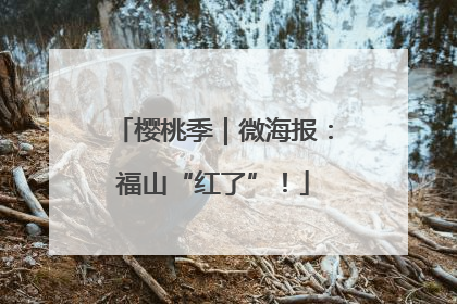 樱桃季｜微海报：福山“红了”！