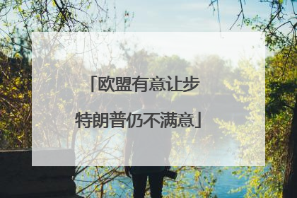 欧盟有意让步 特朗普仍不满意