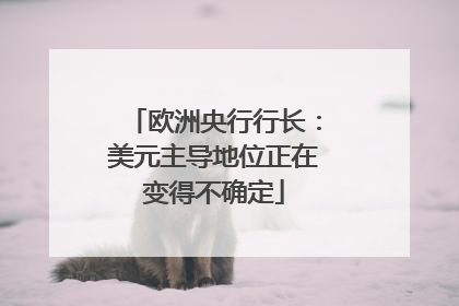欧洲央行行长：美元主导地位正在变得不确定